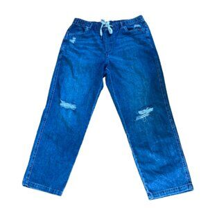 Aerie Jeans Large High Rise Ankle Distressed Pull On Straight Leg Elastic, EUC